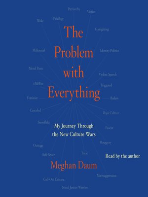 cover image of Problem with Everything